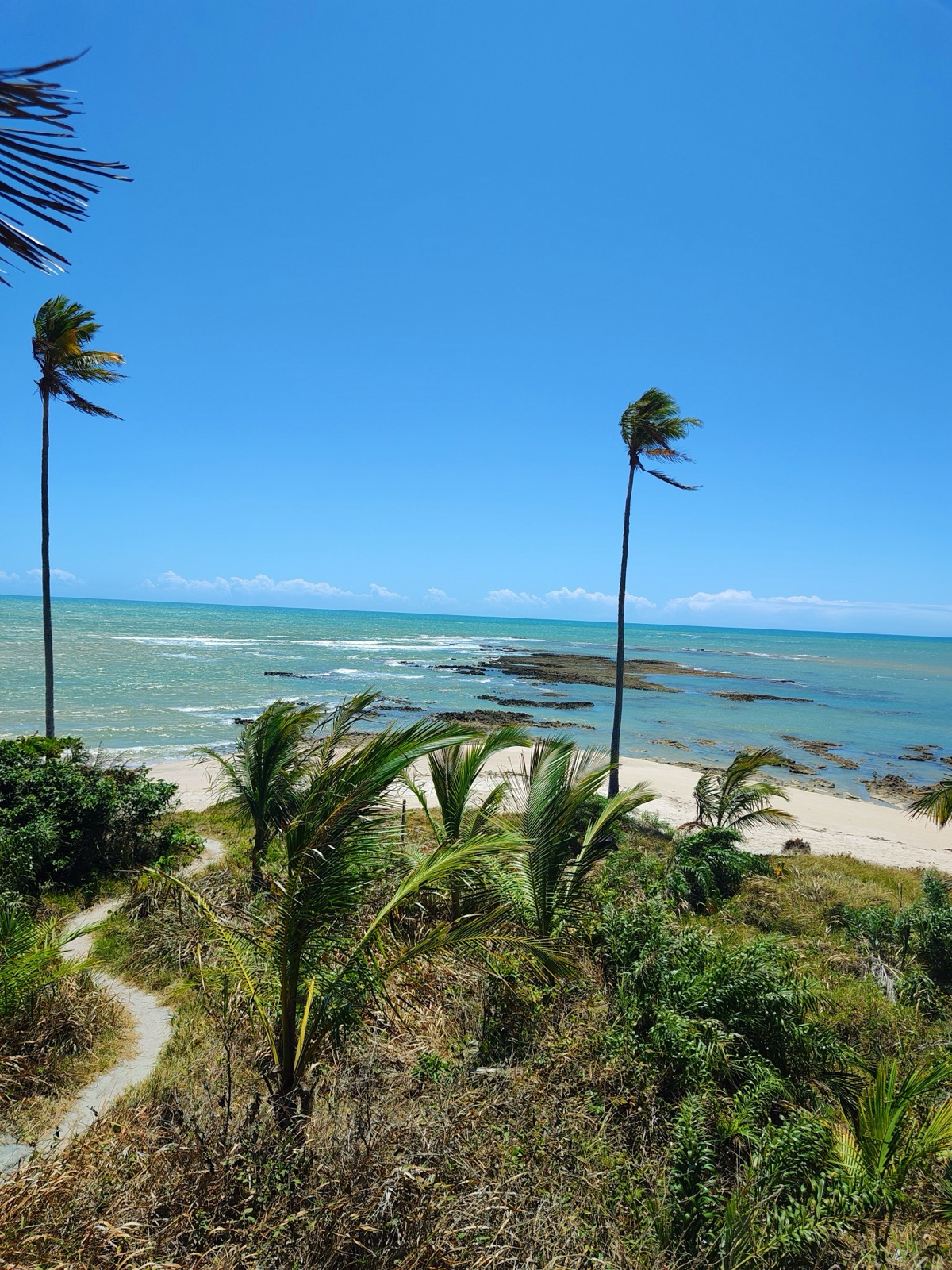 Praia do Moreira, perto de Cumuruxatiba